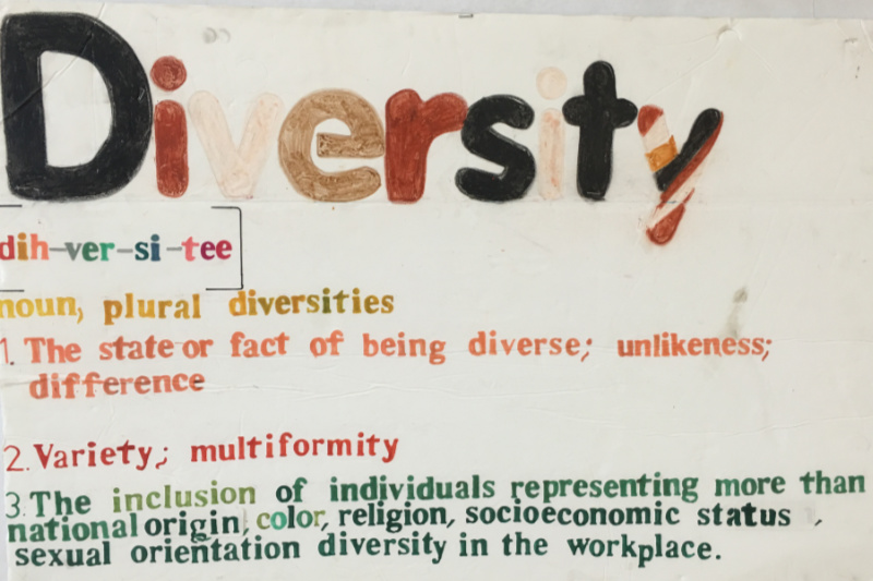 Our Summer Camp Theme is Diversity